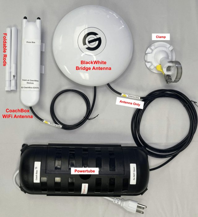 BW cb-bunny WT - labeled